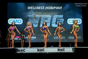 WELLNESS НОВИЧКИ
